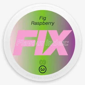 FIX FIG RASPBERRY S3