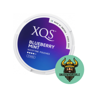 XQS BLUEBERRY MINT STRONG
