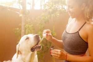 10 Effective Strategies to Promote Your CBD Business