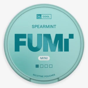 FUMi Spearmint Mini Regular